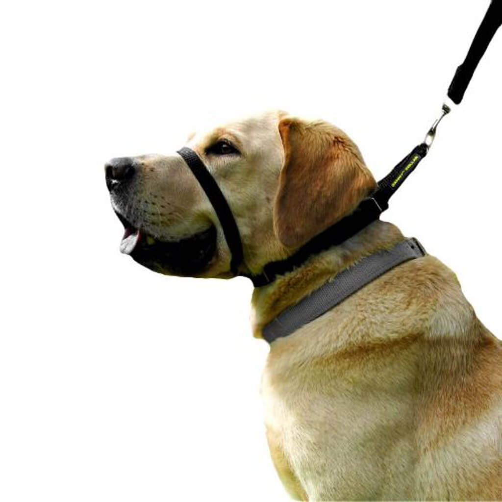 Canny Collar Antitræk